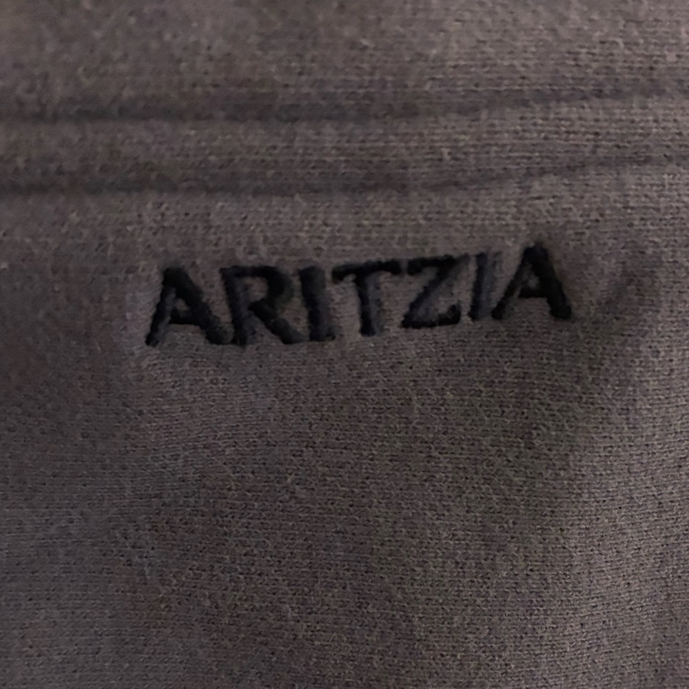 Aritzia Sweatfleece Hoodie - Picture 3 of 4